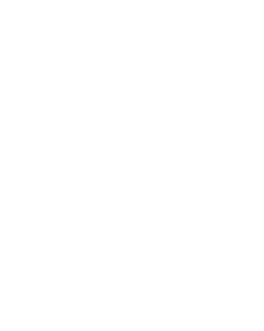 50 anos Plaenge